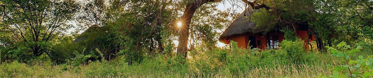 Motswari Game Lodge